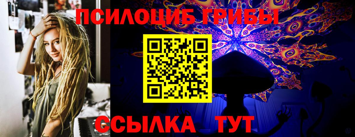 Галлюциногенные грибы Magic Shrooms Новодвинск